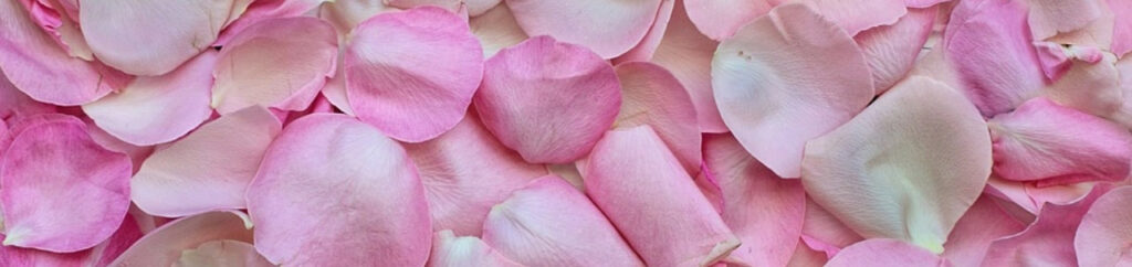 voir la vie en rose